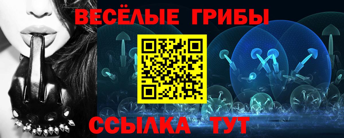 Курчатов  Галлюциногенные грибы Psilocybine cubensis  Вход с VPN  Псилоцибиновые грибы Psilocybe 